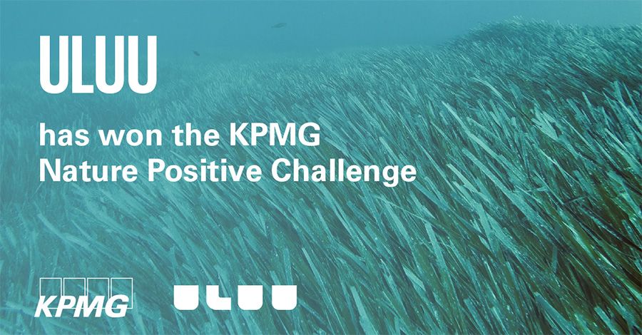 Alternative plastic start-up wins KPMG Nature Positive Challenge