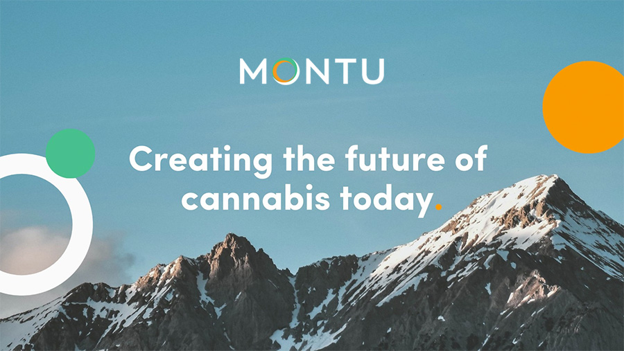 Montu named Australia’s fastest-growing technology company