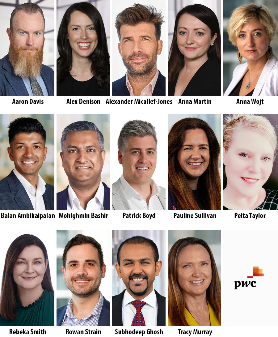 PwC Consulting makes 14 end-of-year partnership appointments