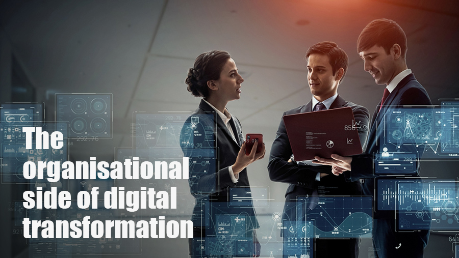 The organisational side of digital transformation