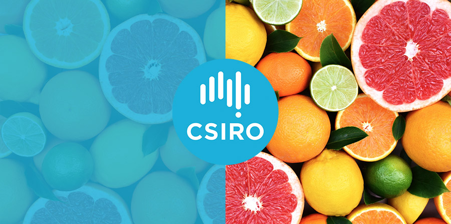 Science agency CSIRO taps McKinsey for organisational review