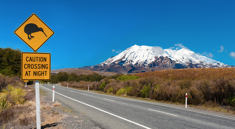 Strength of New Zealand passport outranks Australia once again