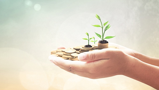 Marsh highlights challenges foreign investors in 2015