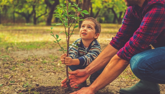 Family businesses keen to invest in philanthropy and impact investing