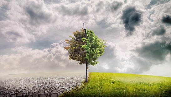 Helena and consultancy BCG join forces to run climate change prize