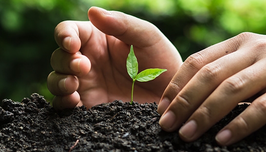 Capgemini UK to implement Science Based Targets initiative