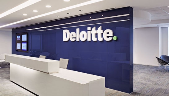 What does a consultant do at Deloitte Enterprise Risk Services?