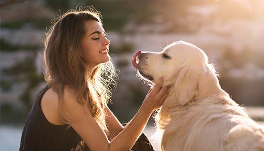 Americans see their pets as family – and are spending more cash on them