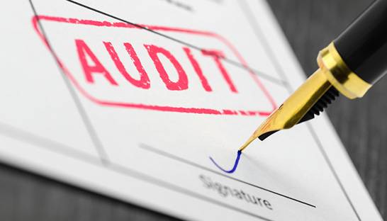 KPMG doubles audit revenues to become largest audit practice in India