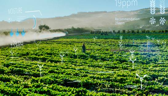 AI for environment can help slash greenhouse gas emissions