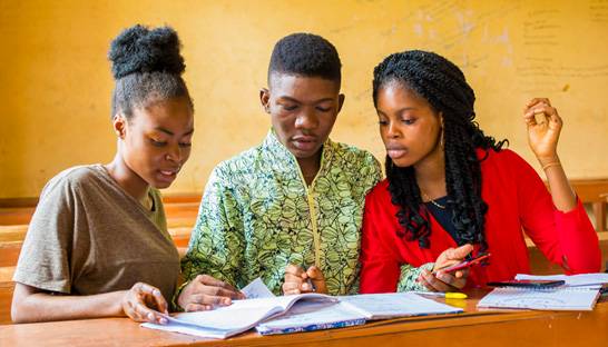 Endowment funds could help provide alternative funding for education in Nigeria