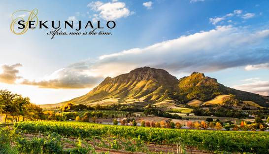 BDO to stop dealing with four Sekunjalo companies