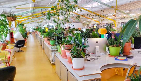Tech consultancy BJSS invests €12 million in new Lisbon office