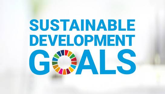 Utilise data capabilities to meet Sustainable Development Goals