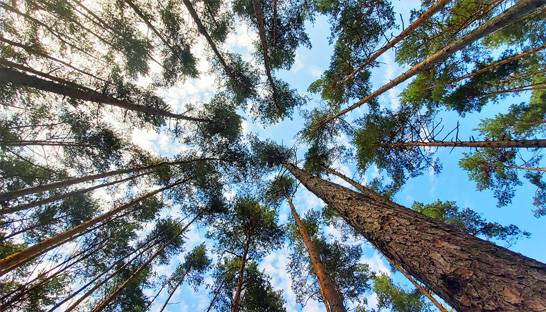 Japan’s pathway to carbon-neutral by 2050 will cost $10 trillion