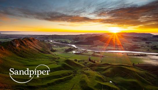 Sandpiper launches in New Zealand with Hawke’s Bay office