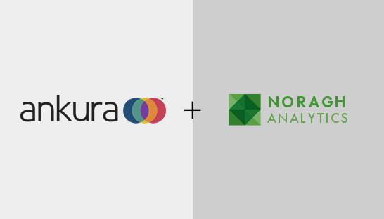 Ankura Consulting acquires Noragh Analytics