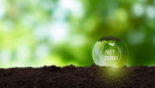 One-third of businesses missed emissions targets in 2021