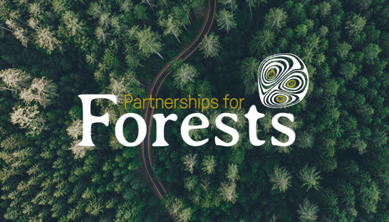 Partnerships for Forests hits £1 billion funding milestone