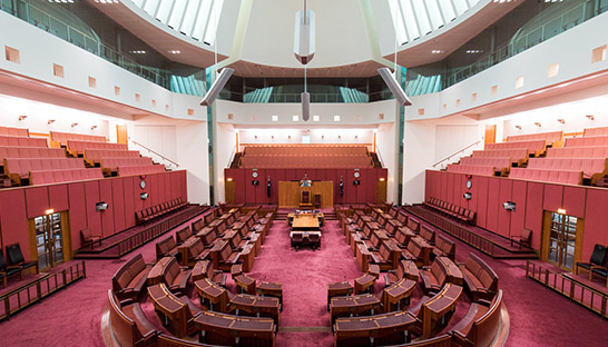 Senate releases final consulting industry report after lengthy inquiry