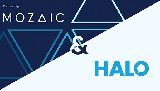 Digital transformation consultancy Mozaic partners with IT specialist Halo