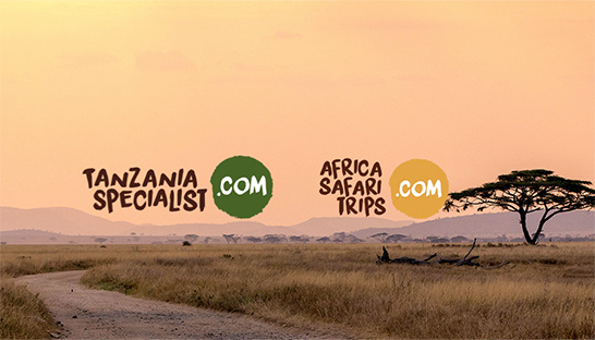 Deloitte, EY and OMMAX advise on acquisition of travel group Afrika Invest