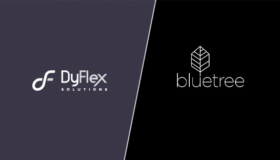 DyFlex buys fellow SAP specialist Bluetree following recent investment